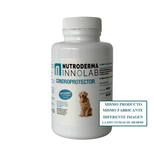 Otcvet condroprotector mascotas